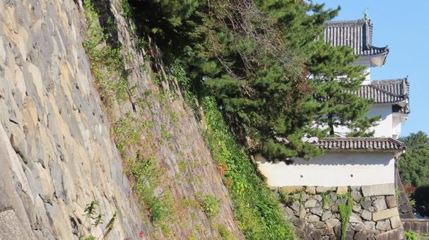 名古屋城　本丸　表二之門　東南隅櫓 名古屋城,尾張徳川家,御三家の写真素材