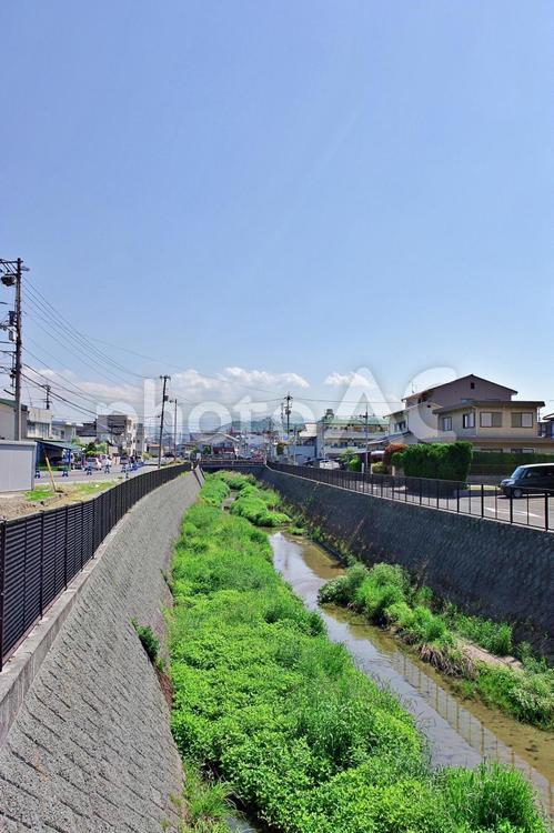 松山市郊外の町角風景 町並み,家並み,宮前川の写真素材