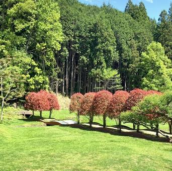 新緑がきれいな景色 新緑がきれいな景色の写真