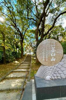 大阪の陣跡・茶臼山 大阪府,大阪市,大阪の写真素材