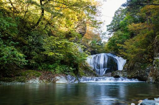 秋の関山大滝⑶の写真