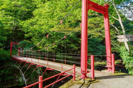 赤い吊橋⑵ 吊橋,橋,赤の写真素材