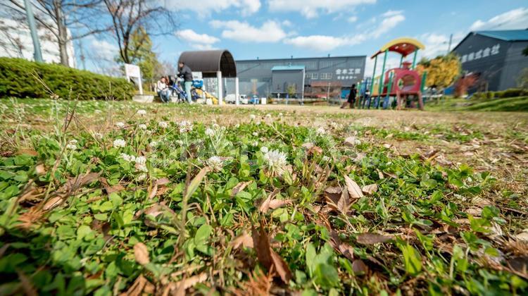 公園の風景 公園,植物,白の写真素材