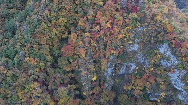 山紅葉004 山,紅葉,山紅葉の写真素材