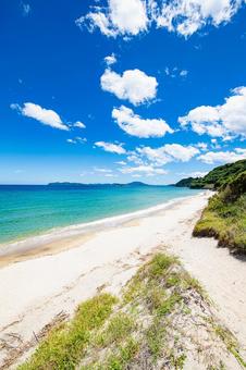 夏の砂浜から眺める海 夏の砂浜から眺める海の写真