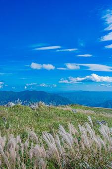 四国地方　四国カルスト台地の風景 カルスト台地,四国,四国地方の写真素材