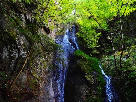 川辺町南天の滝 南天の滝,岐阜,川辺町の写真素材