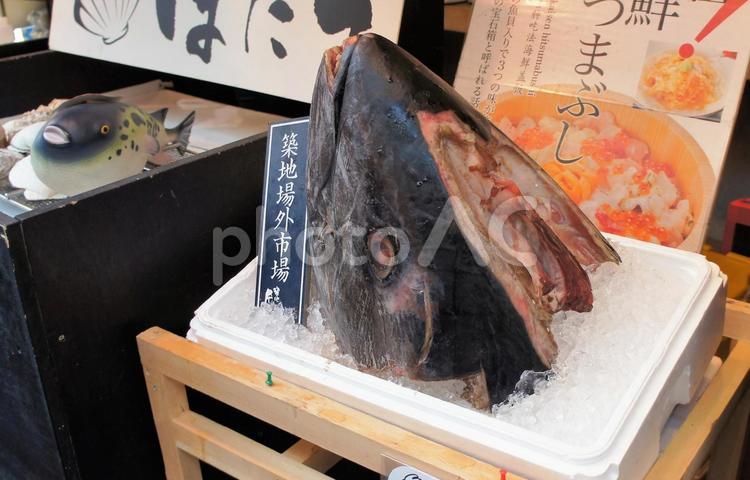 マグロ兜　マグロ解体　マグロ兜煮付け マグロ解体,マグロ頭,マグロ兜煮の写真素材