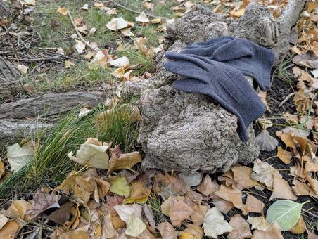 寒い季節の必須アイテム① 木,自然,野外の写真素材