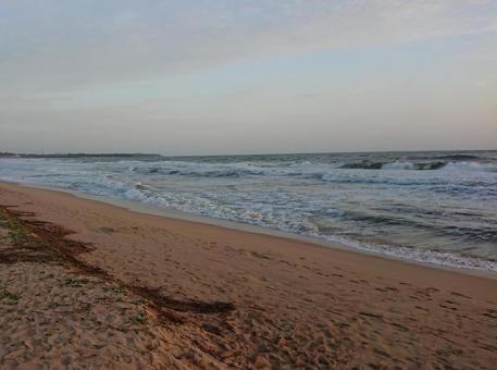 スリランカ ガル 砂浜 スリランカ ガル 砂浜 砂浜,海,ビーチの写真素材