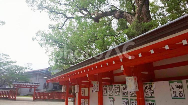 宇美八幡宮 神社,敷地,建物の写真素材