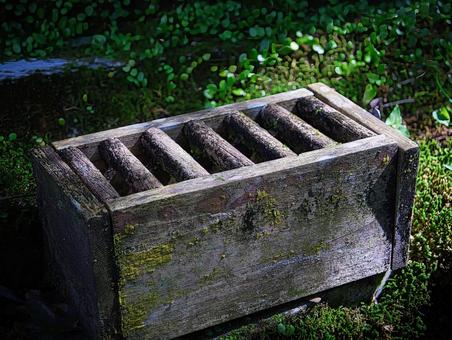 木漏れ日の中の賽銭箱 木漏れ日の中の賽銭箱 賽銭箱,賽銭,お賽銭の写真素材