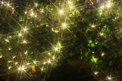 イルミネーションの接写 イルミネーション,木,クリスマスの写真素材