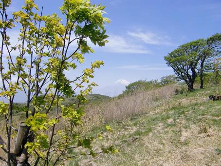 山伏峠の景色-5 山伏峠の景色-5の写真