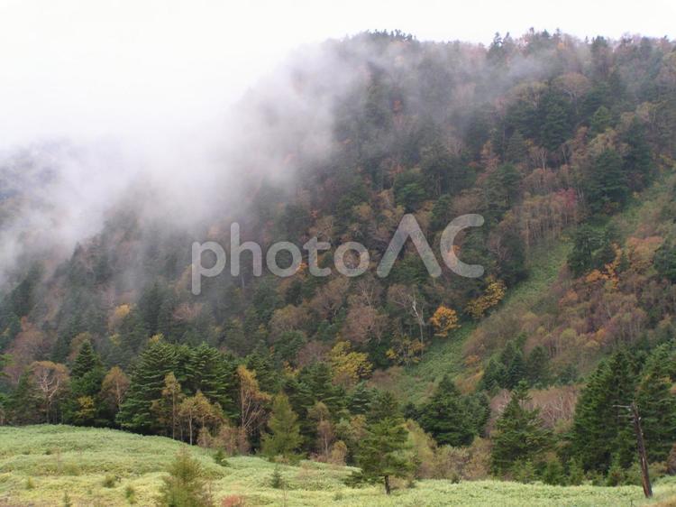 長野　松本　美ヶ原 美ヶ原,観光地,日本百名山の写真素材
