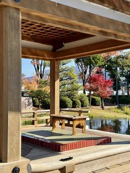 秋の昼間の紫式部公園　11月　紅葉 秋,紫式部公園,紅葉の写真素材