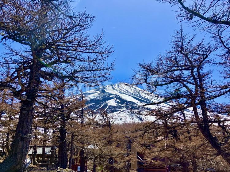富士山五合目展望広場からの風景② 富士山,五合目,展望広場の写真素材