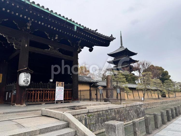 東寺 東寺,南大門,五重塔の写真素材