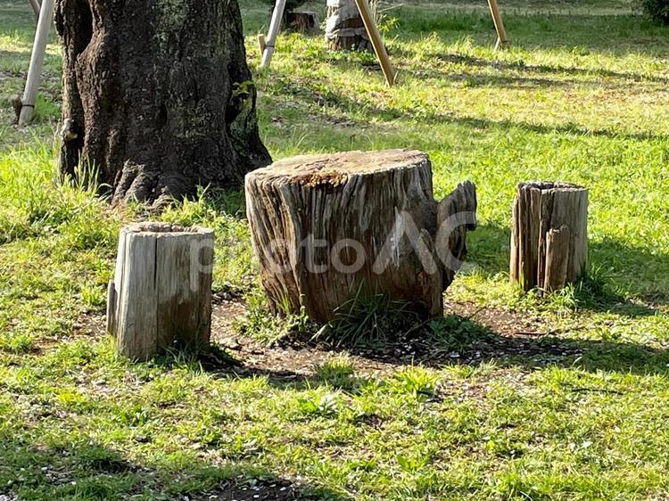 切り株のテーブルとイス 公園,春,自然の写真素材
