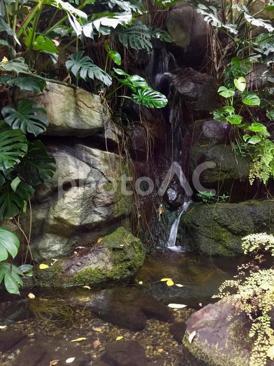 小さな池の滝 滝,水域,自然の写真素材