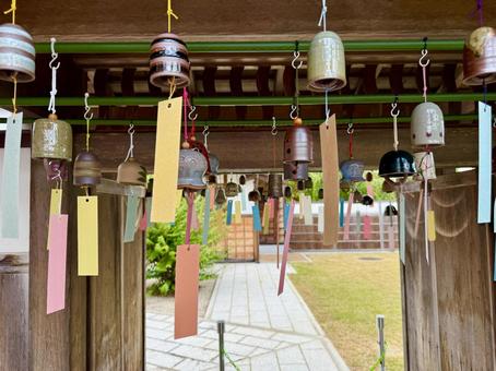 越前陶芸村　夏の装い　越前古窯博物館 越前陶芸村,夏,越前古窯博物館の写真素材