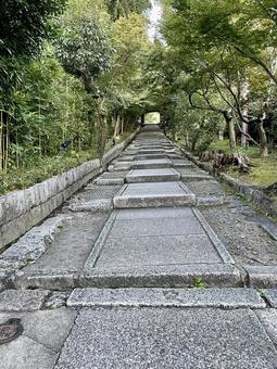 高台寺の木々の間に続く石造りの長い階段 高台寺,京都,寺の写真素材