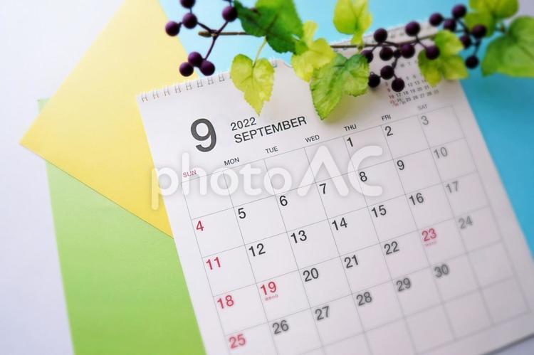 2022年9月のカレンダーと秋の実（２） 植物,背景,素材の写真素材