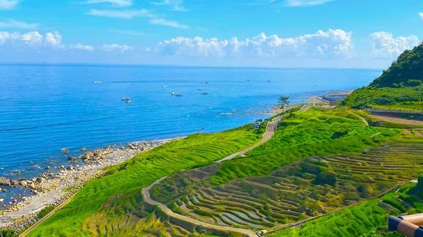 夏の奥能登 輪島千枚田:2 夏の奥能登 輪島千枚田:2 能登,奥能登,輪島の写真素材