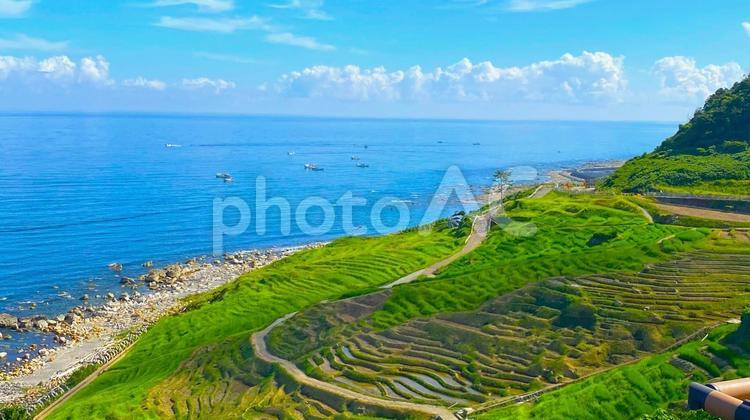 夏の奥能登　輪島千枚田：2 能登,奥能登,輪島の写真素材