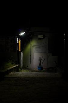 スナップフォト　〜夜撮〜 風景,風景写真,スナップ写真の写真素材