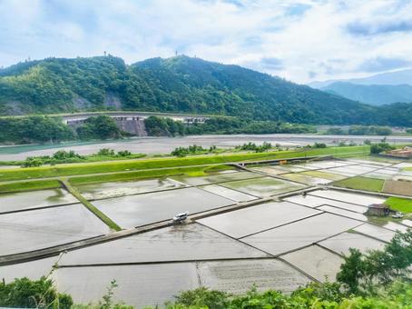 Photo, jr minobu line, fujikawa, paddy field, 