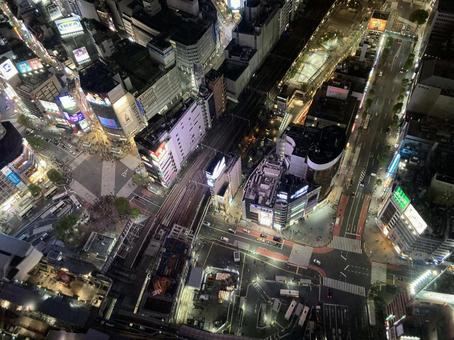 東京夜景 東京夜景の写真