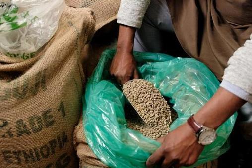 Raw coffee beans procured from Ethiopia Raw coffee beans procured from Ethiopia
