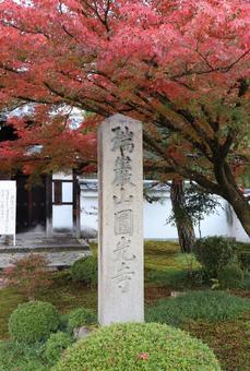 圓光寺　社号標 圓光寺,社号標,瑞巌山の写真素材