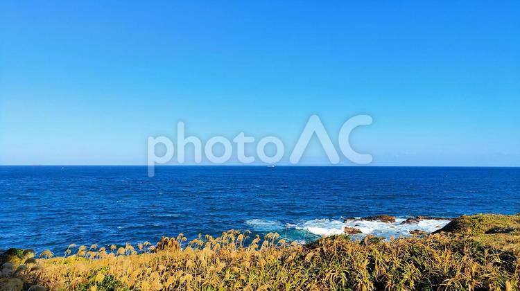 ススキと海 海,すすき,ススキの写真素材