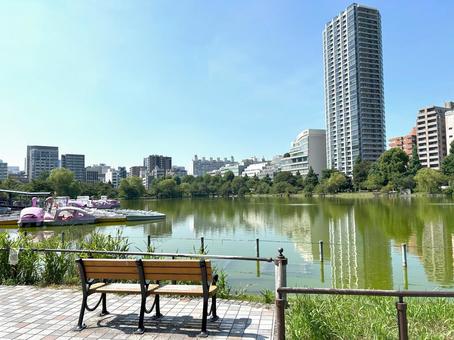 上野恩賜公園 上野恩賜公園 上野,上野恩賜公園,上野公園の写真素材