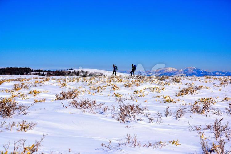 美ヶ原高原の冬の風景 美ヶ原高原,冬,雪原の写真素材