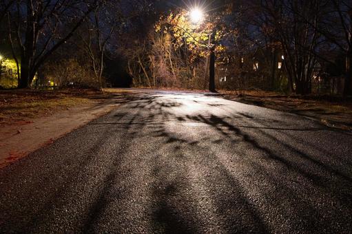 Photo, america, overseas, night, 