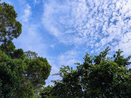 空 雲 月 空 雲 月の写真