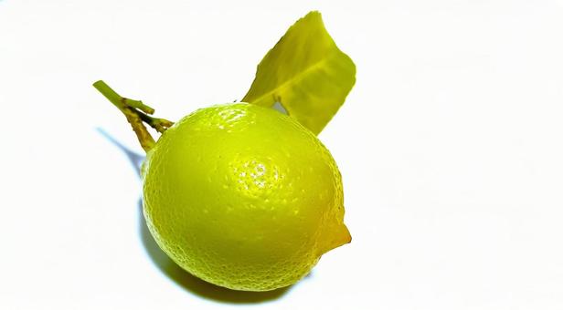 レモン レモン,実,果実の写真素材