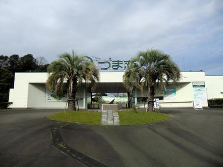 つま恋 つま恋,静岡,掛川の写真素材