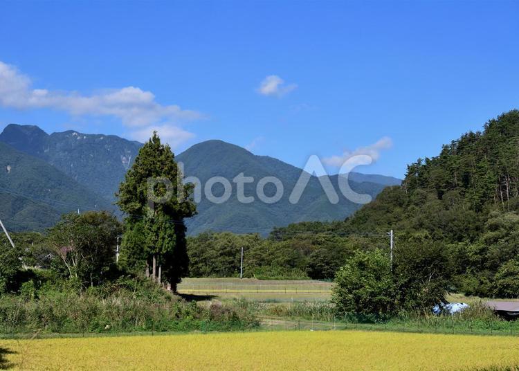 山梨の風景(夏) 山梨,夏,自然の写真素材