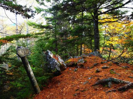 魔子の山山頂 魔子,瑞牆山,山頂の写真素材