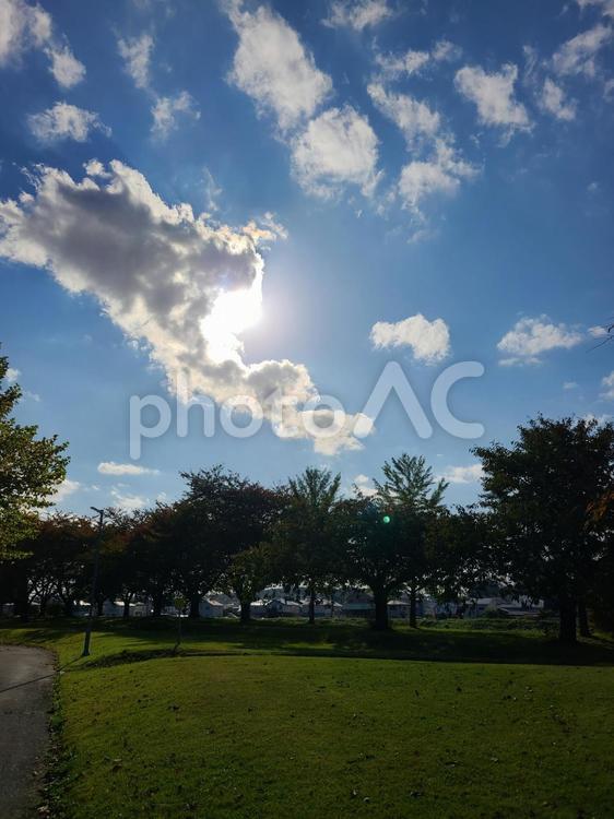 公園と雲と秋の光 空,公園,青空の写真素材