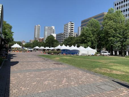 6月下旬さっぽろ大通公園西7丁目 6月下旬さっぽろ大通公園西7丁目 札幌,大通公園,公園の写真素材