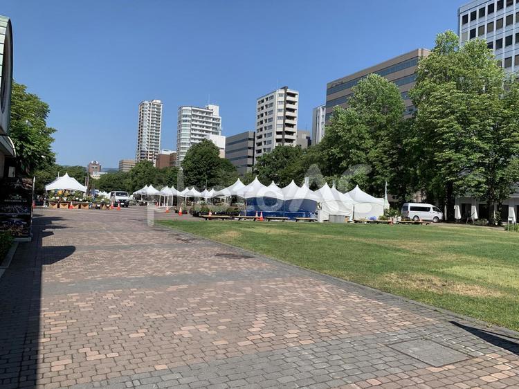 6月下旬さっぽろ大通公園西7丁目 札幌,大通公園,公園の写真素材