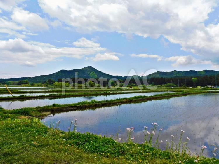田舎の田園風景 田園,田園イメージ,田植えの写真素材