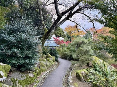 秋の夕方　福井県紫式部公園 紫式部公園,福井県,庭園の写真素材