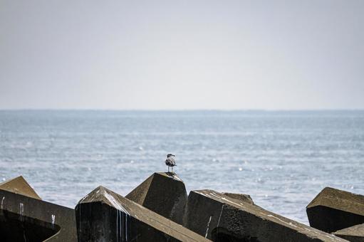 浜辺の風景(32) 浜辺の風景(32)の写真