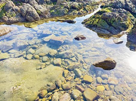 海岸 磯 干潮 海岸 磯 干潮の写真